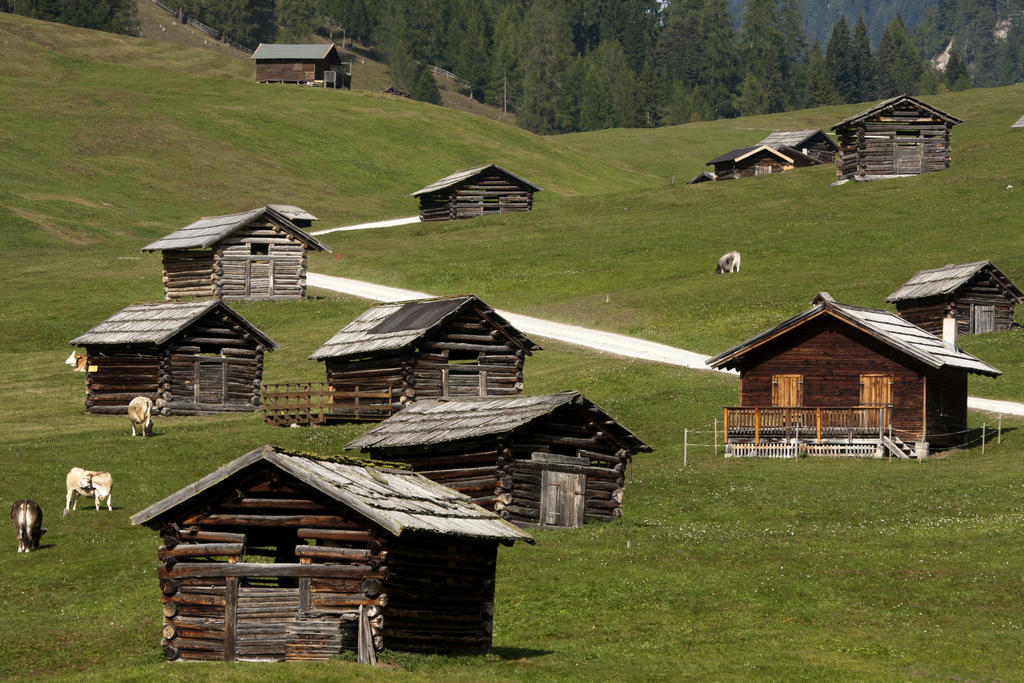 Hotel Edelweiss 3*