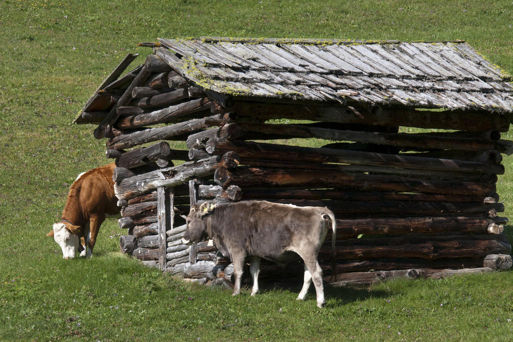Hotel Edelweiss